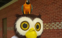 Dr. Hoots helps other birds