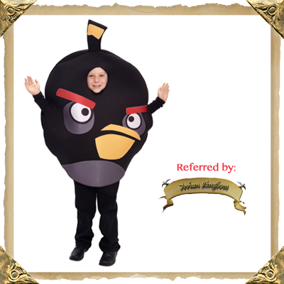 Kids Angry Bird Halloween Costume