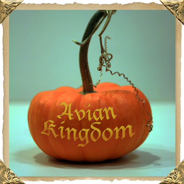Avian Kingdom Pumpkin Carving